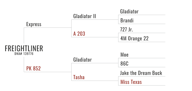 Freightliner's Pedigree Chart